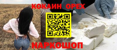 гашик Малоярославец