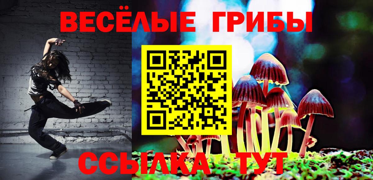 Галлюциногенные грибы GOLDEN TEACHER  Вход с VPN  Ивантеевка 