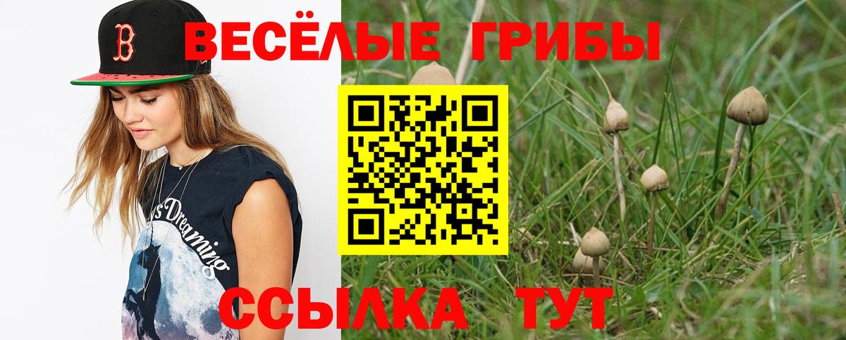 Галлюциногенные грибы Psilocybine cubensis Ивантеевка